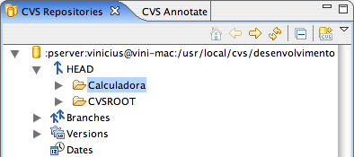 Acessando o CVS para fazer checkout do projeto.